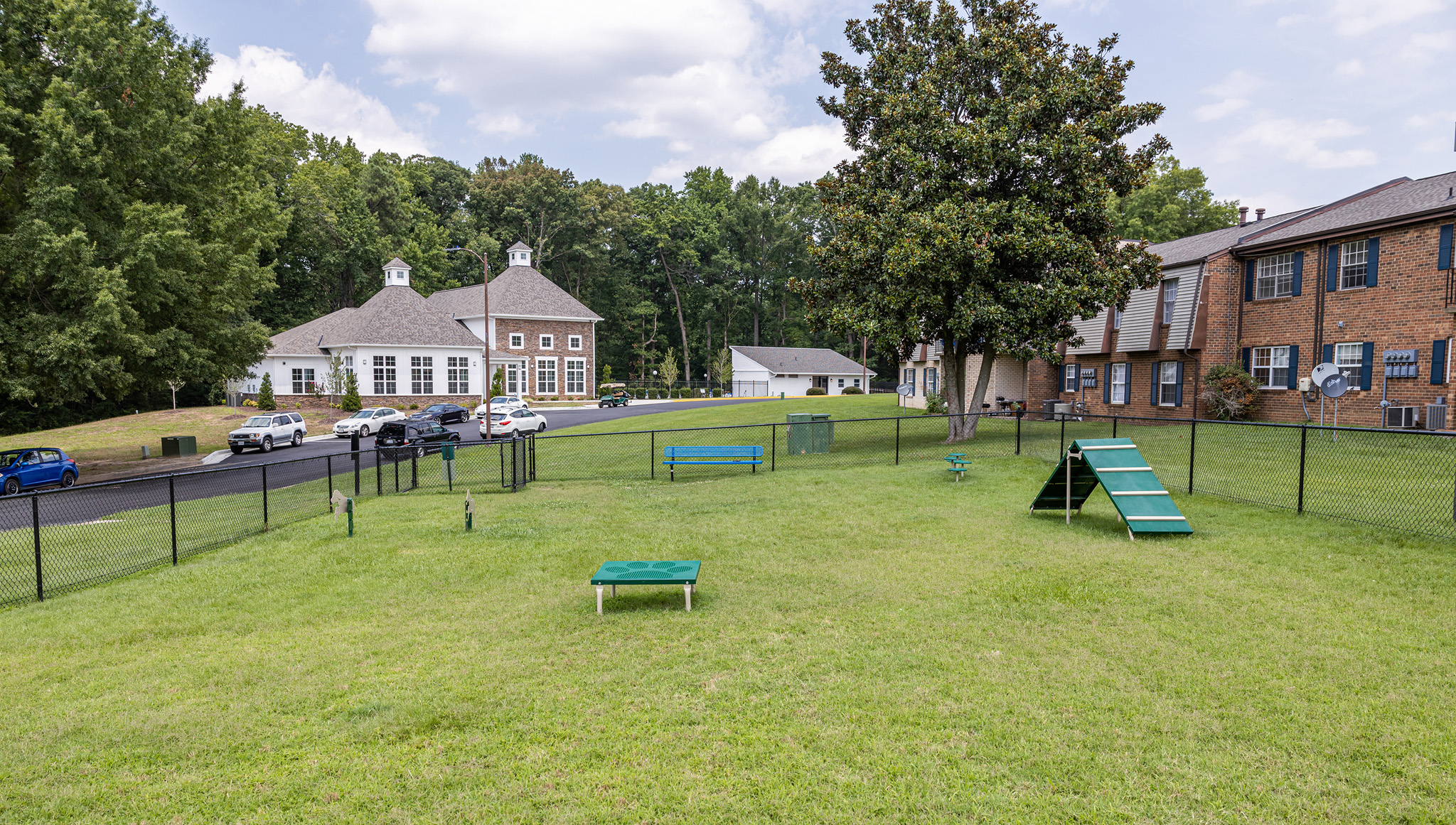 a park with a bench in the middle of a field